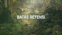 Batas Retensi