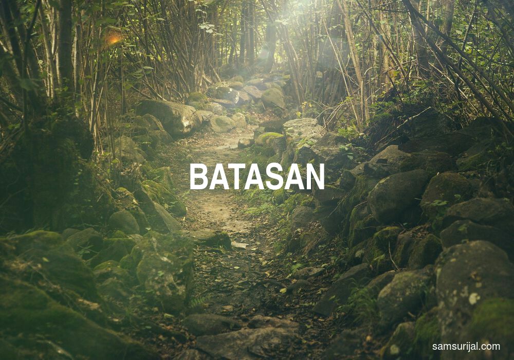 Arti Batasan