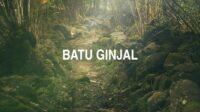 Batu Ginjal