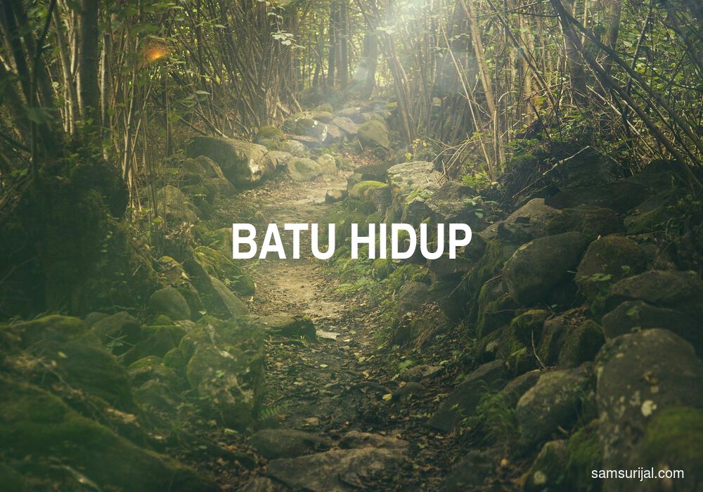 Arti Batu Hidup