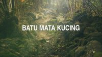 Batu Mata Kucing