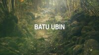 Batu Ubin