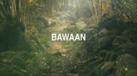 Bawaan