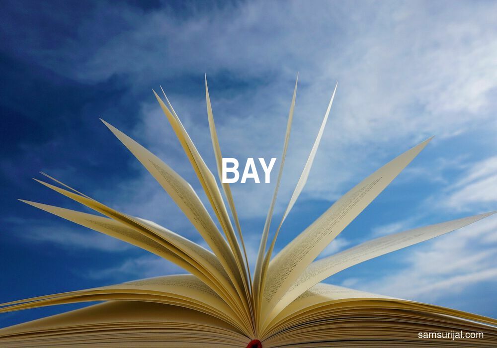 Arti Bay