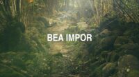 Bea Impor