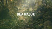 Bea Masuk