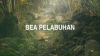 Bea Pelabuhan