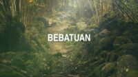 Bebatuan