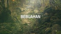 Bebuahan