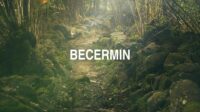 Becermin