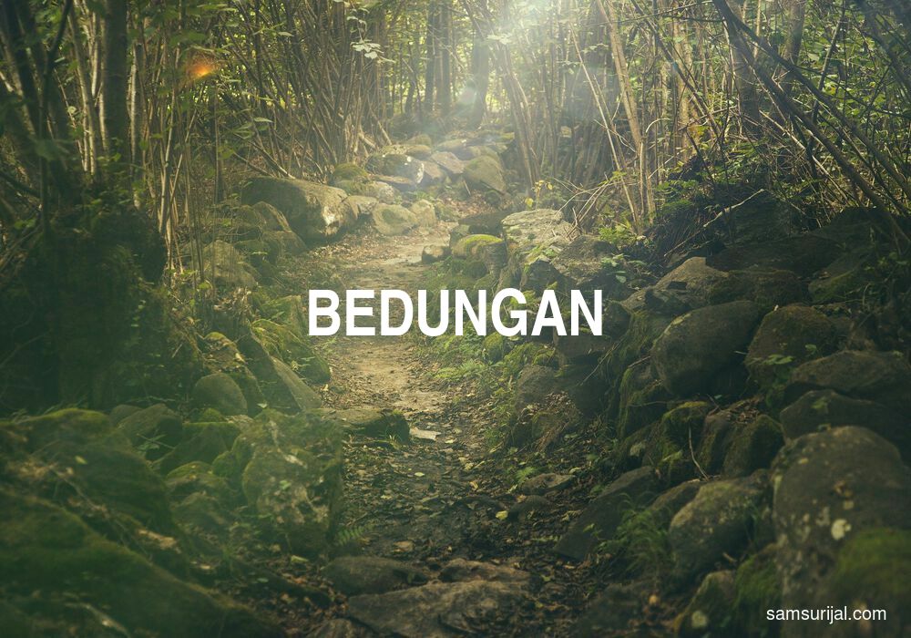 Arti Bedungan