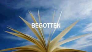 Arti Begotten