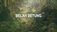 Belah Betung