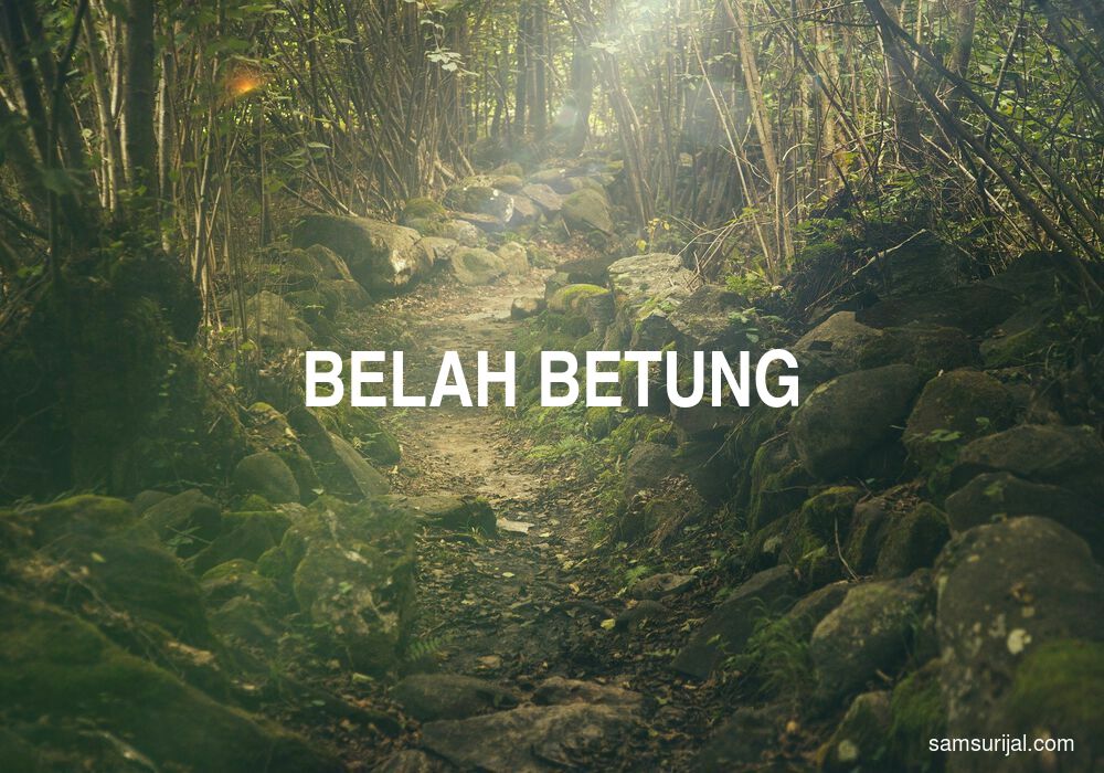 Arti Belah Betung