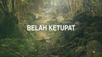 Belah Ketupat