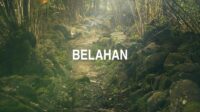 Belahan