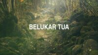 Belukar Tua