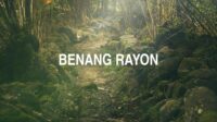 Benang Rayon