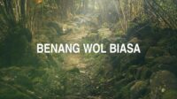 Benang Wol Biasa