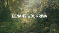 Benang Wol Prima