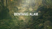 Bentang Alam