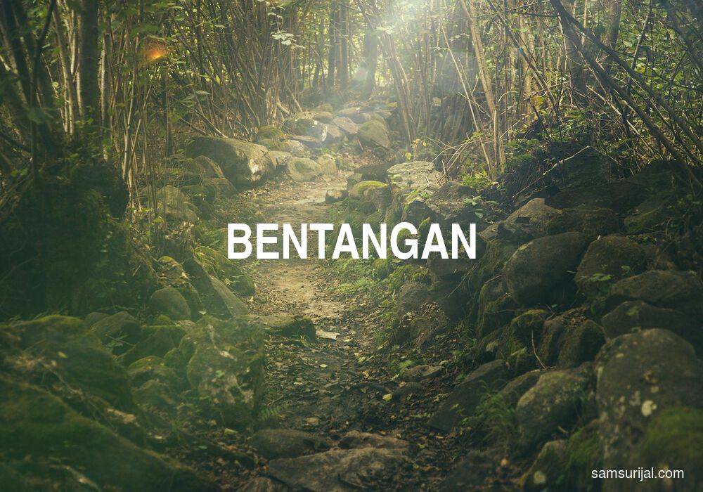 Arti Bentangan