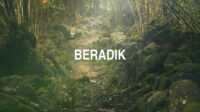 Beradik