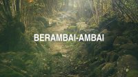 Berambai-Ambai