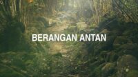 Berangan Antan