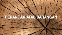 Berangan atau Barangan