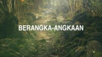 Berangka-Angkaan