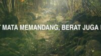 Berapa Berat Mata Memandang, Berat Juga Bahu Memikul