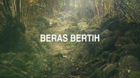 Beras Bertih