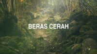 Beras Cerah