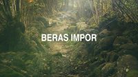 Beras Impor