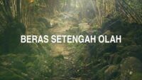 Beras Setengah Olah