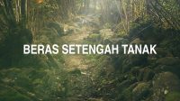 Beras Setengah Tanak