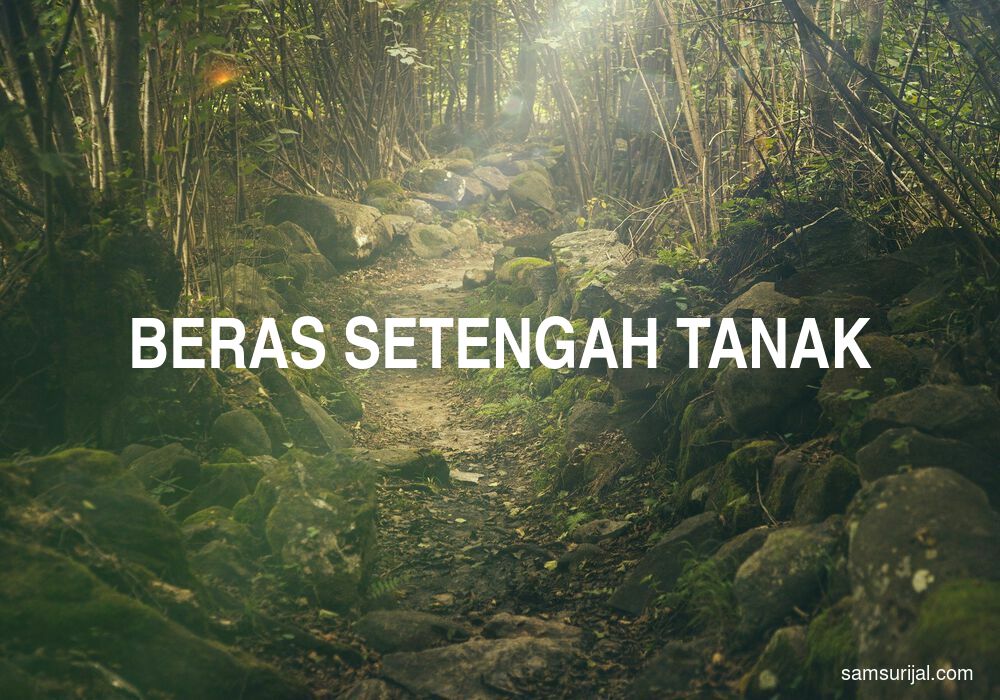 Arti Beras Setengah Tanak