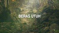 Beras Utuh