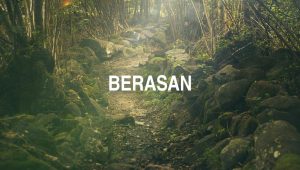 Arti Berasan