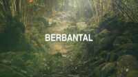 Berbantal