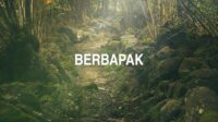 Berbapak