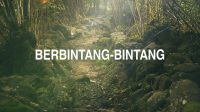 Berbintang-Bintang