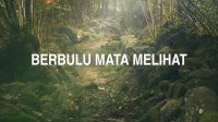 Berbulu Mata Melihat