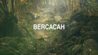 Bercacah