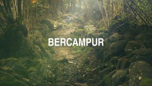Bercampur