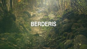 Berderis