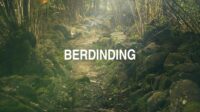 Berdinding