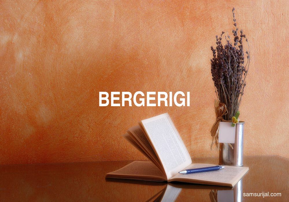 Arti Bergerigi