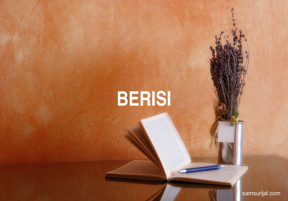 Arti Berisi